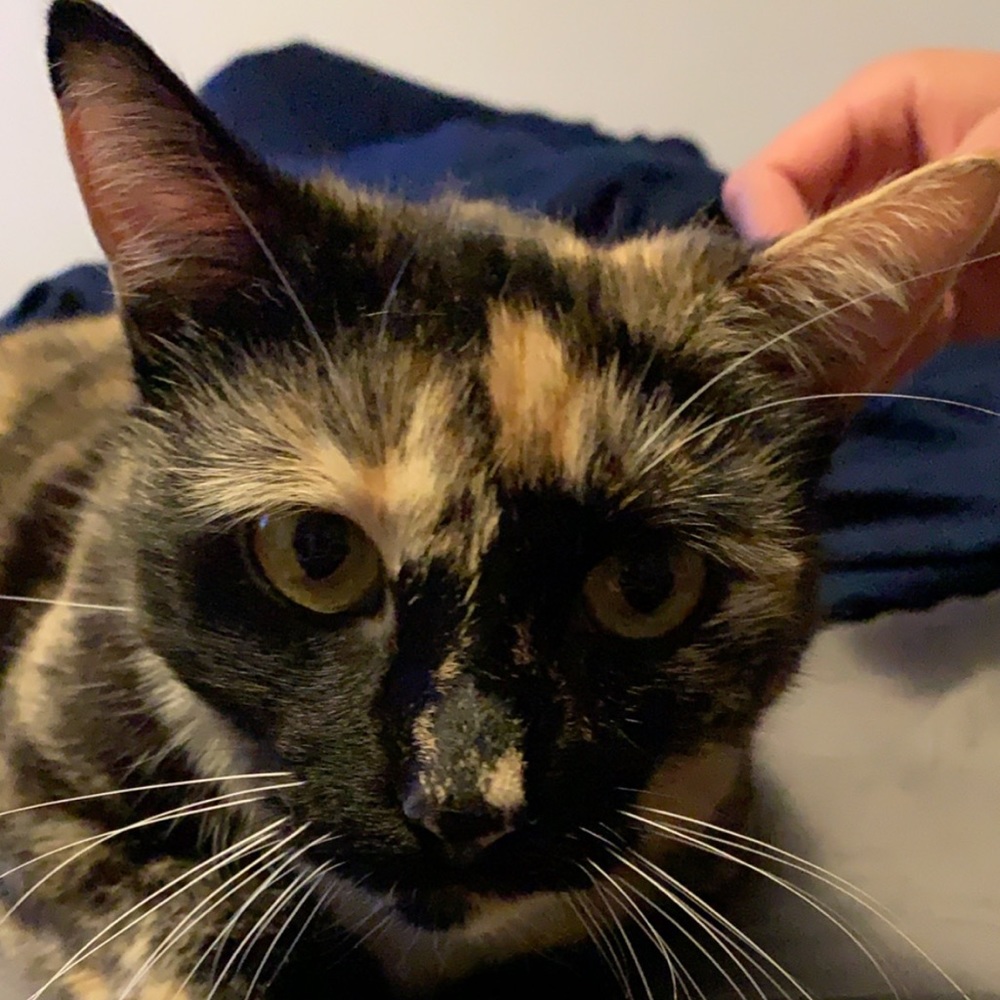 Meet your Posher, Miriam